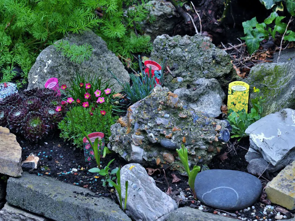 Rocks and herb garden