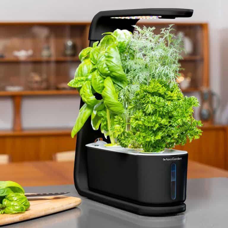How To Grow AeroGarden Basil Bigger Garden
