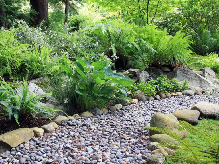 14 Small Rock Garden Ideas