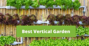 Best-Vertical-Garden