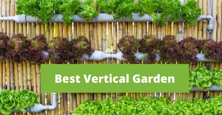 Why Is Vertical Gardening Good For Growing Indoors?