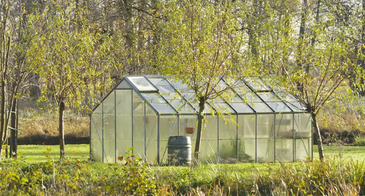 Aluminium greenhouse