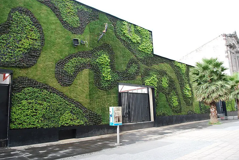 Green wall outside