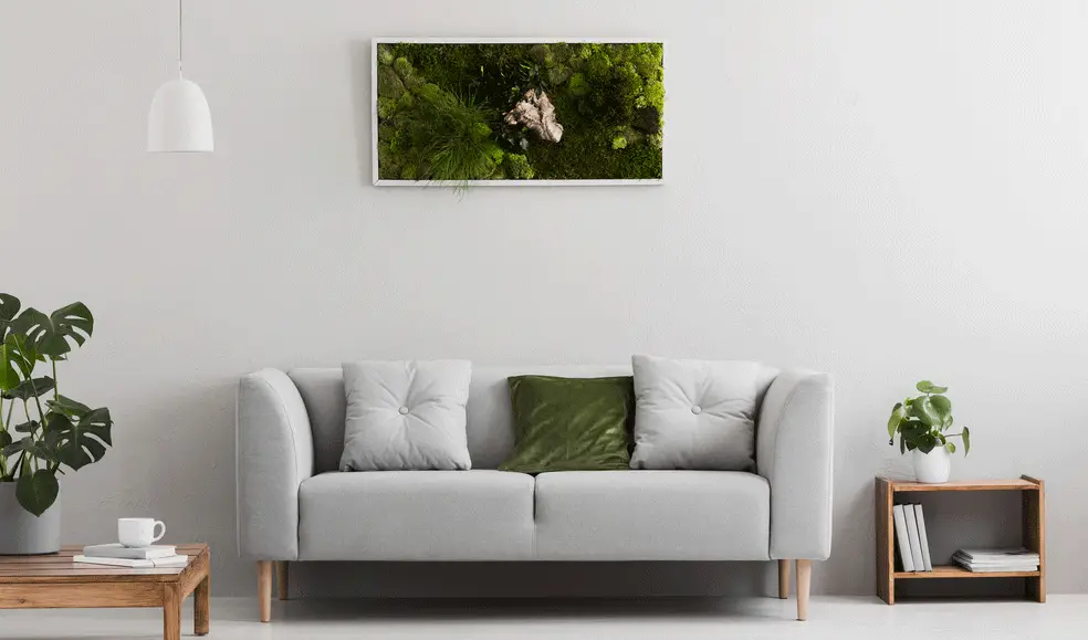 Moss art on wall in living room