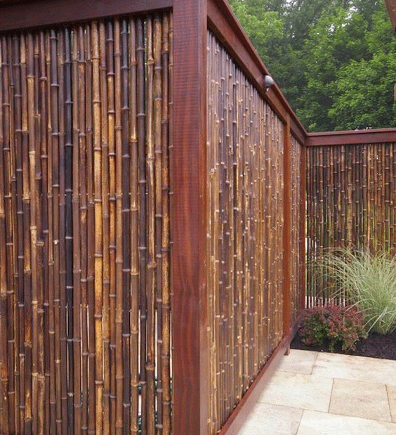red bamboo fence