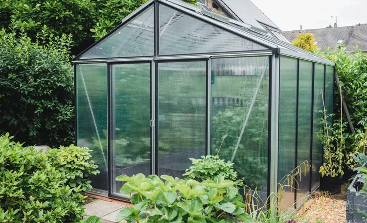 Greenhouse in garden