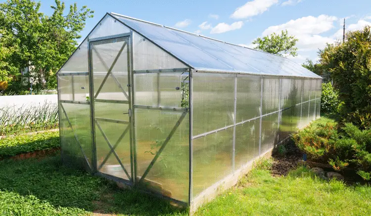 Uncover the Best Plastic Greenhouses