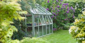 Hot Greenhouse