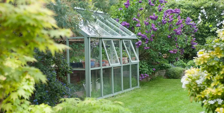 How to Keep Your Greenhouse Cool in the Summer?