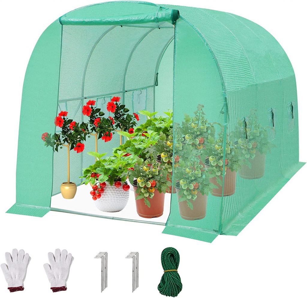 SUNGIFT Mini Greenhouse
