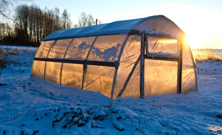 How to Insulate A Greenhouse