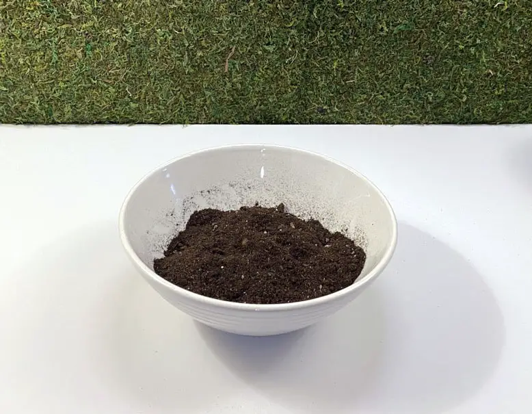 New potting soil