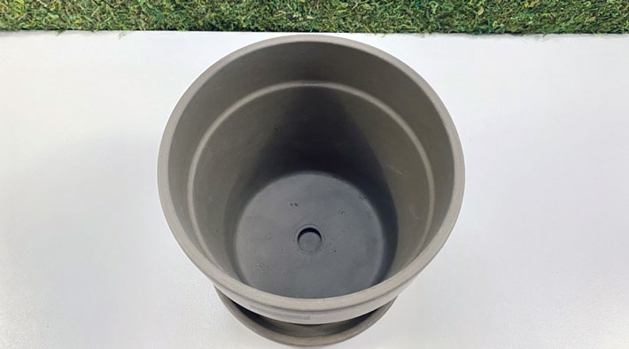 bigger pot with good drainage