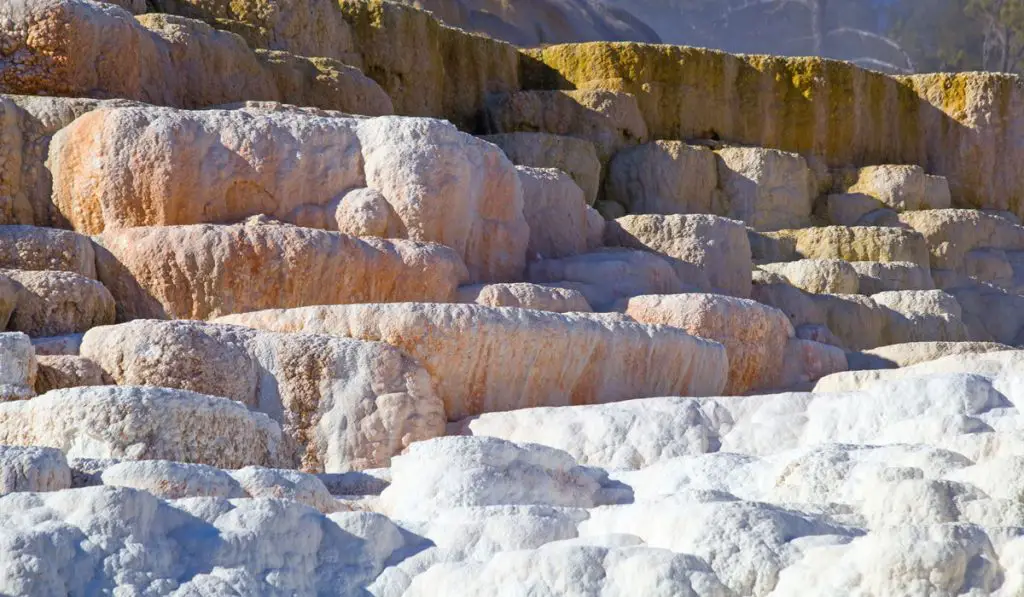 Calcium Magnesium deposits at yellowstone