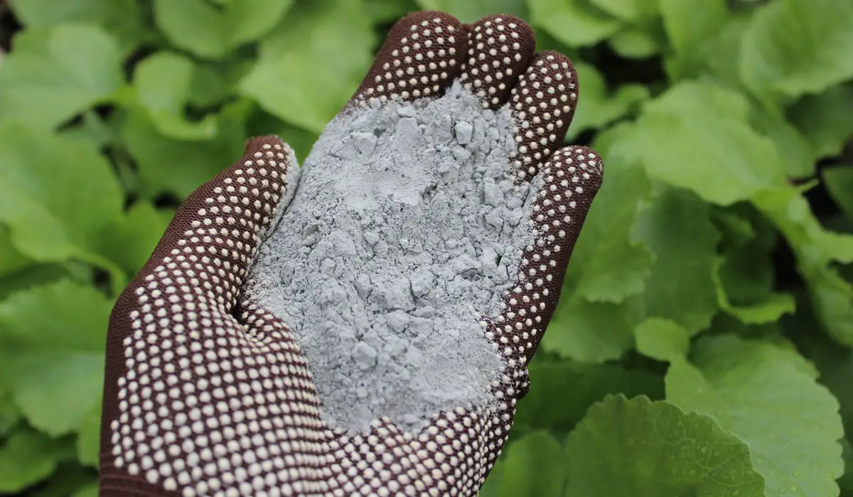 Garden phosphate rock dust