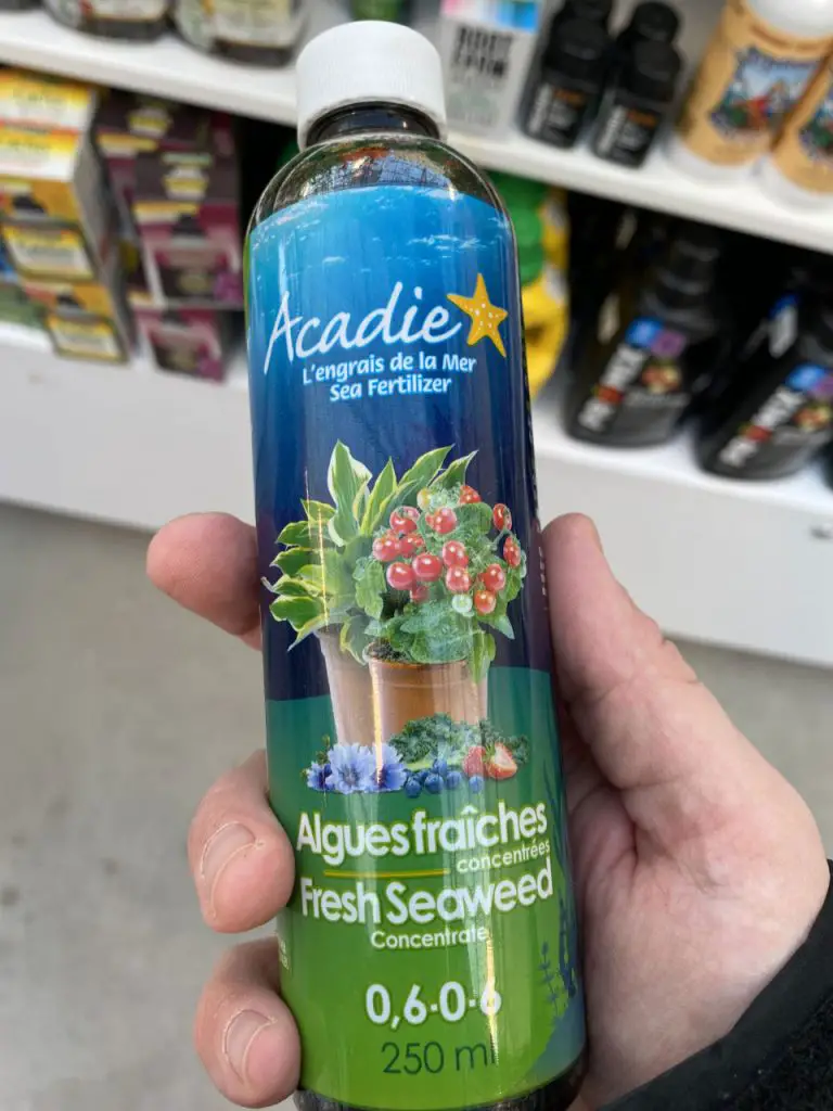 Liquid Seaweed fertilizer
