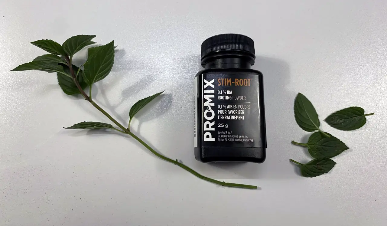 Plant hormone rooting powder