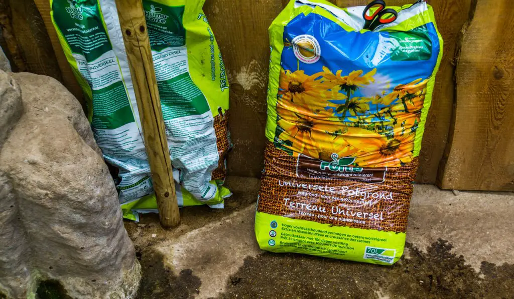 Potting soil in a damp location