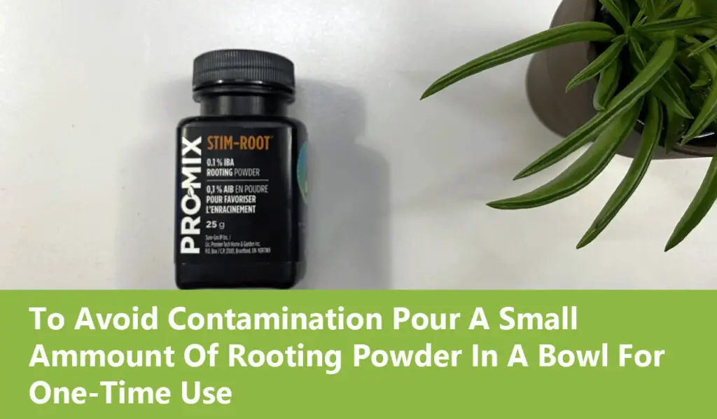Rooting powder tip