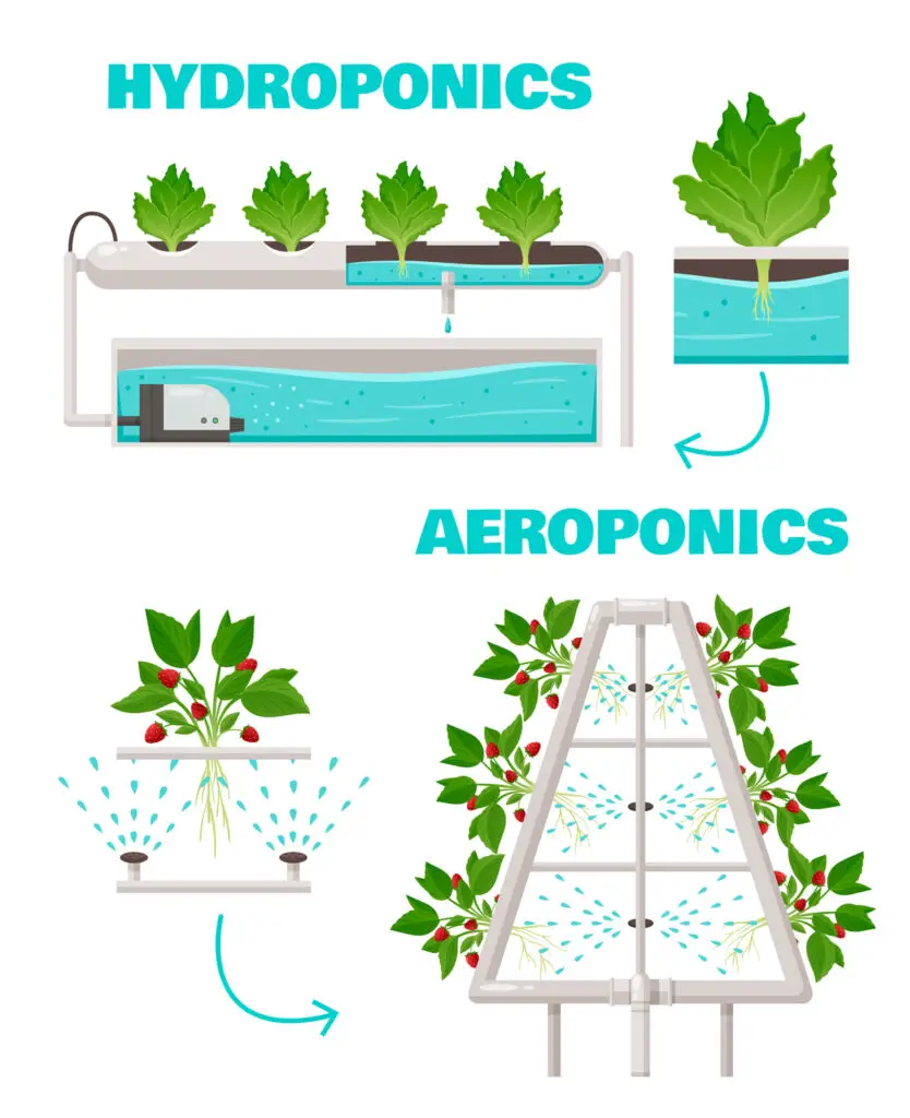 Aeroponic vs hydroponic comparison