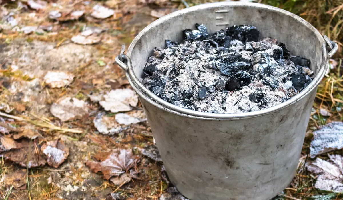 Bucket of wood ash