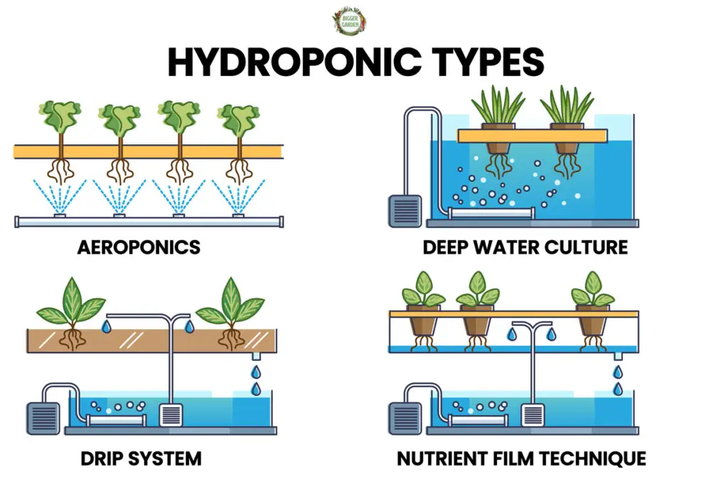 Hydroponic types