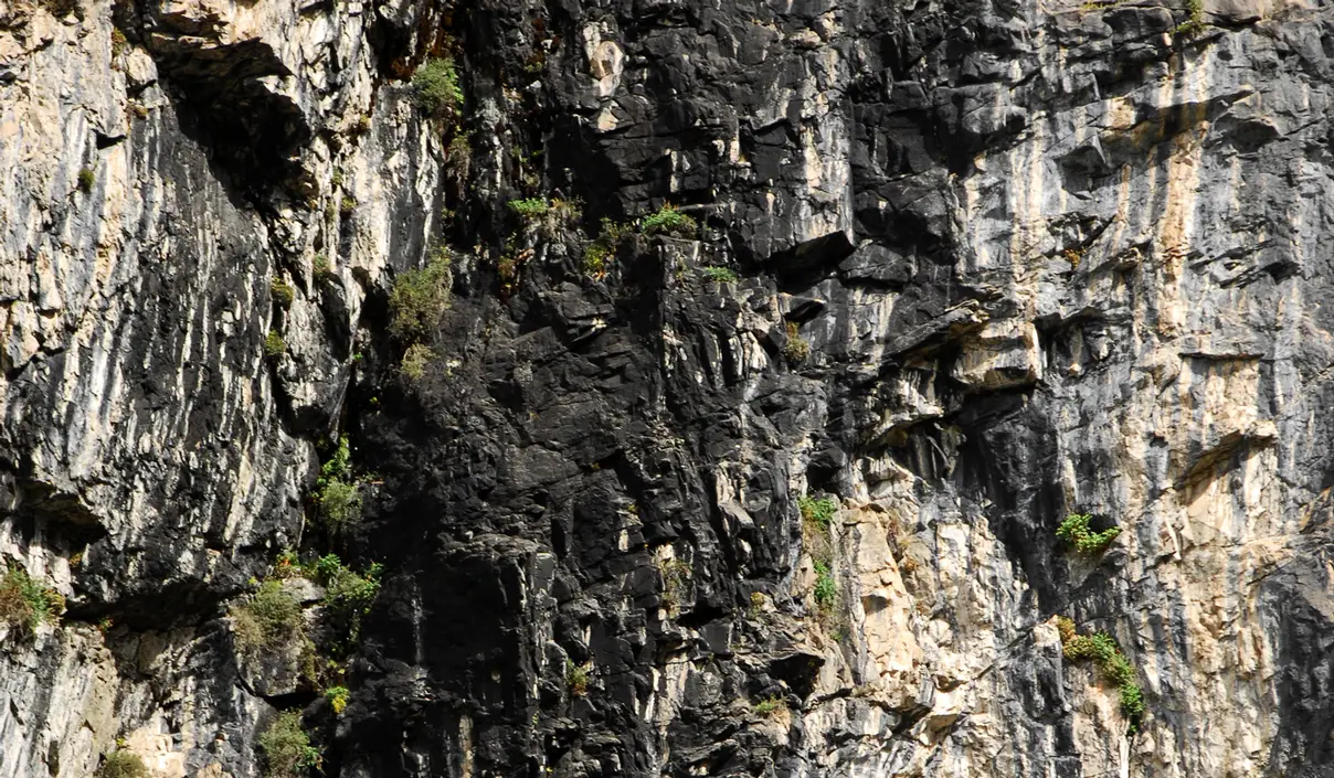 Naturally occurring humic and fulvic acids coming out of the side of a cliff