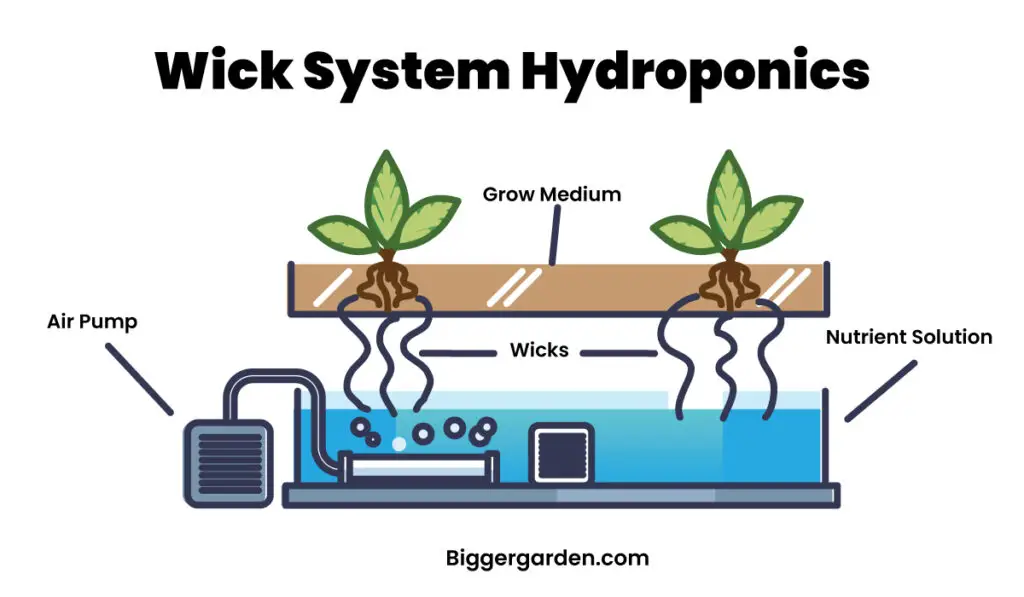 Wick System Hydroponics