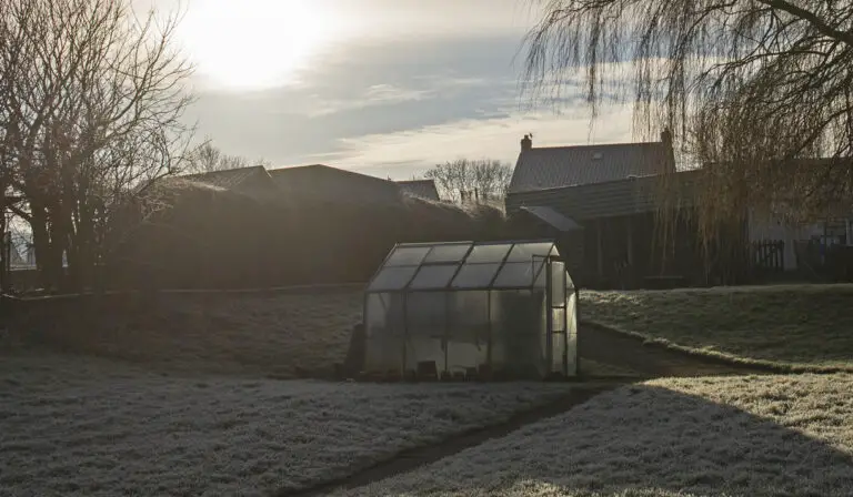 14 Ways to Heat Your Greenhouse Off-Grid