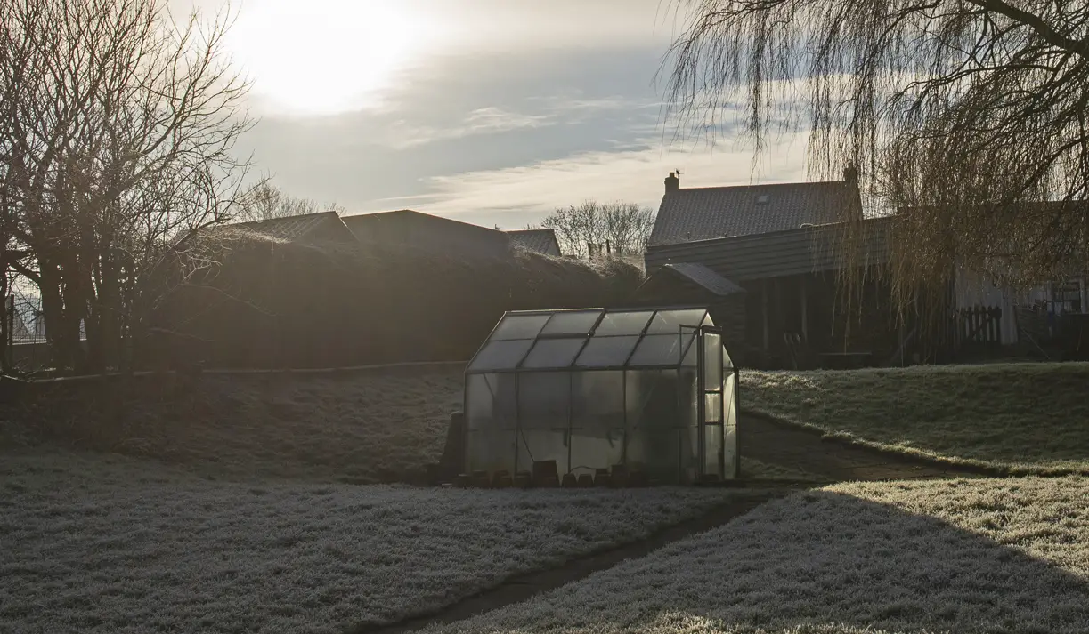 greenhouse with frost covered grass