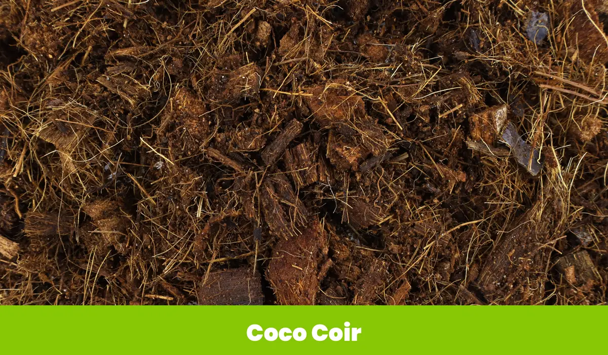 Coco Coir1