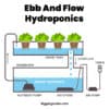 A Complete Guide to Your Hydroponic Ebb and Flow System