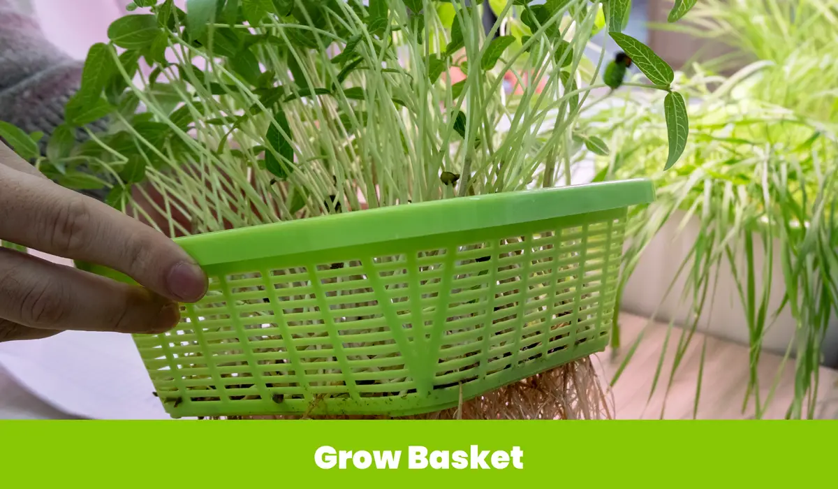 Grow Basket