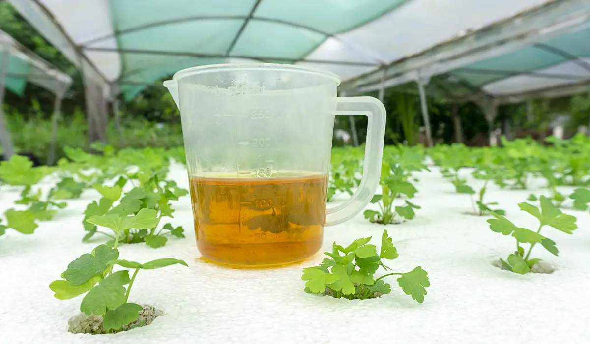 Liquid hydroponic fertilizer