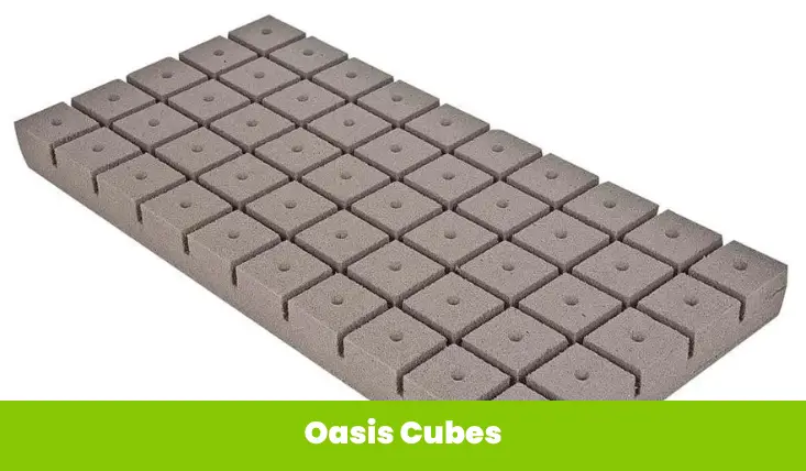 Oasis Cubes