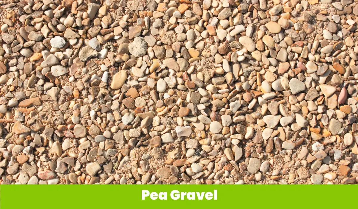 Pea Gravel1