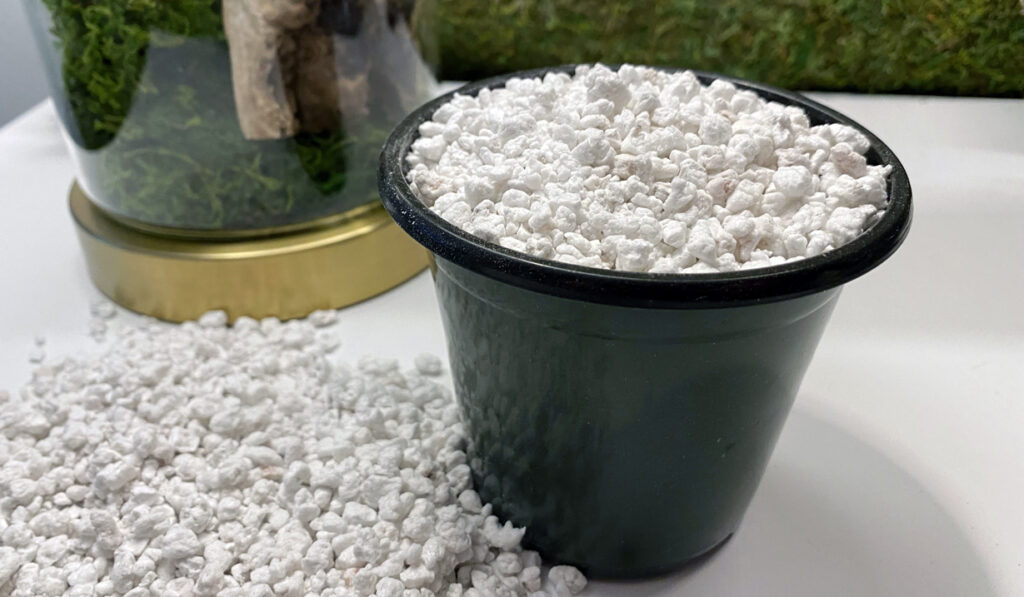Perlite in a plastic pot with drainage