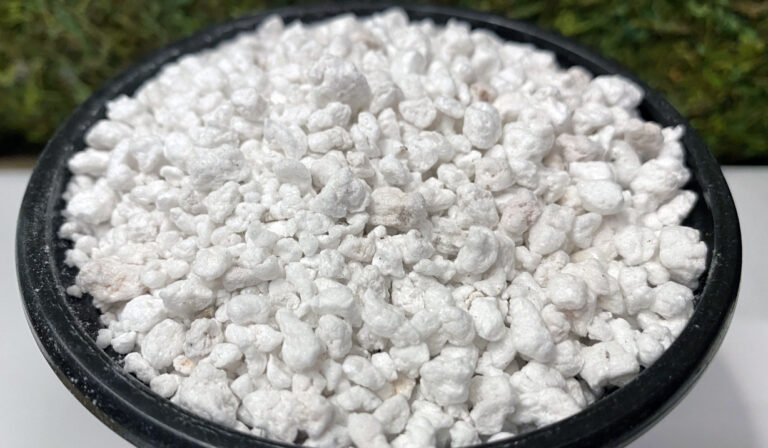 Using Perlite in Hydroponics: A Complete Growing Guide