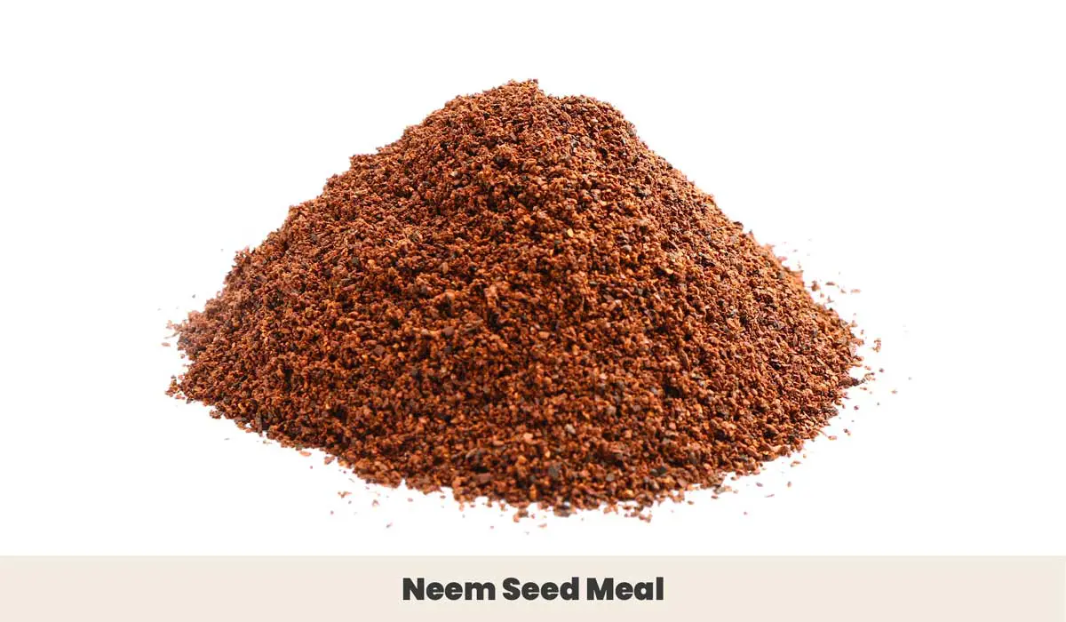 Pile of Neem Seed Meal 1