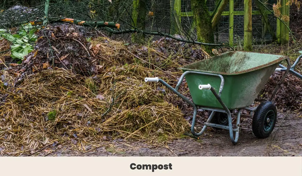 Piles of wet compost