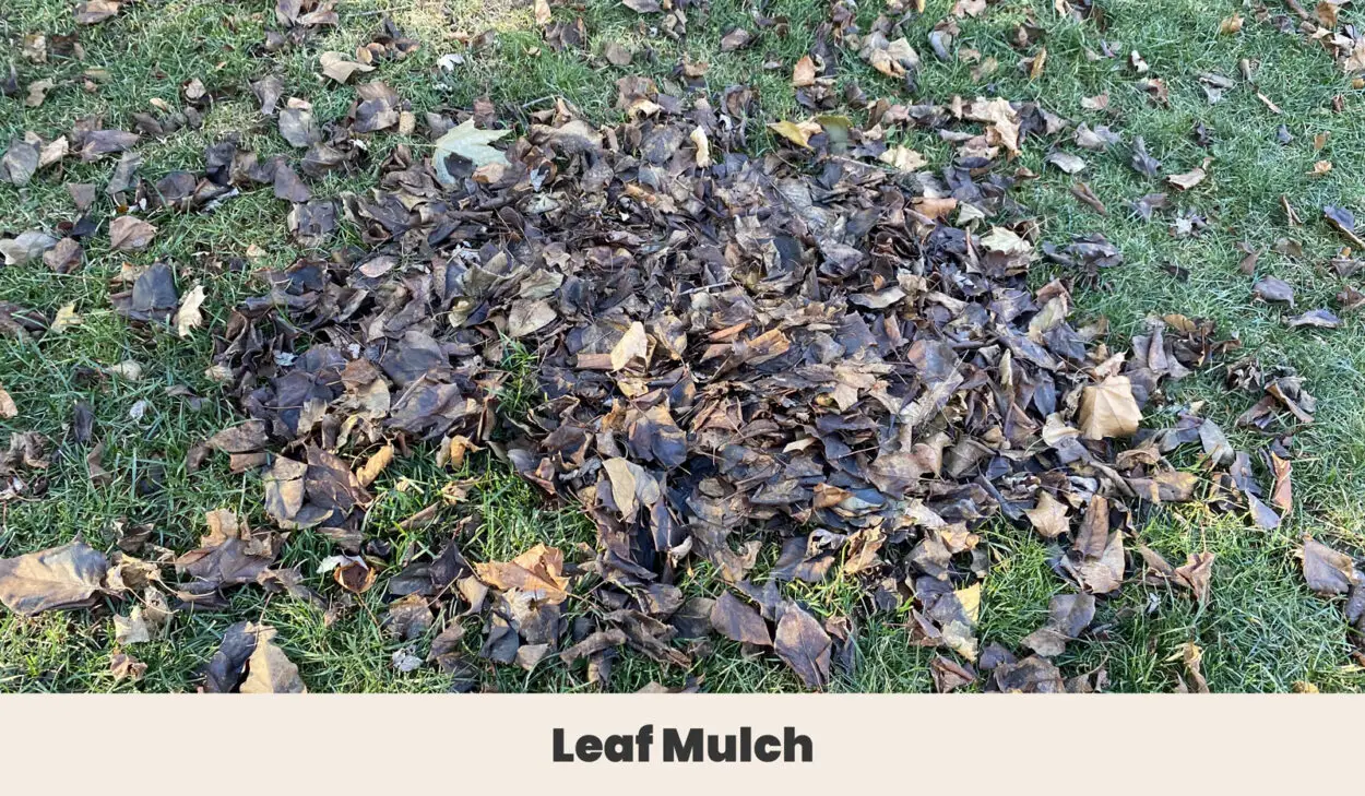 Leaf mulch