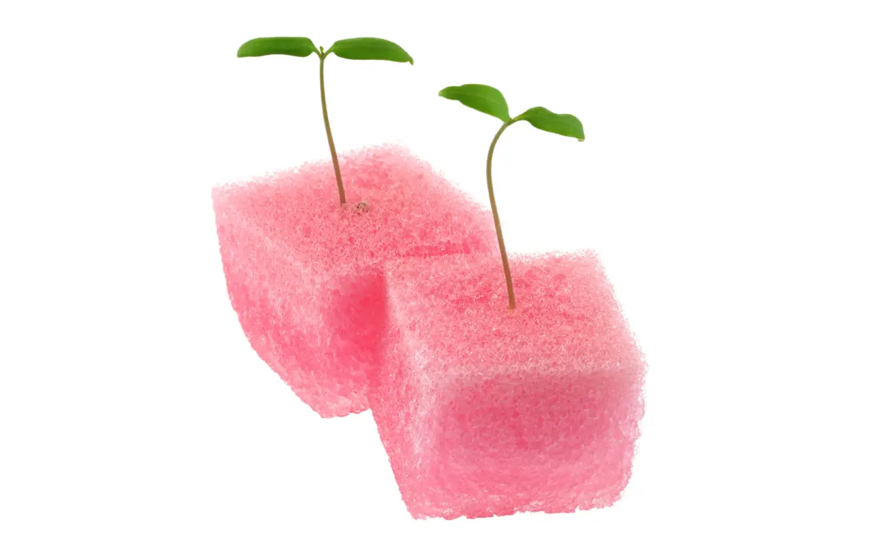 Polyurethane-Grow-Sponges