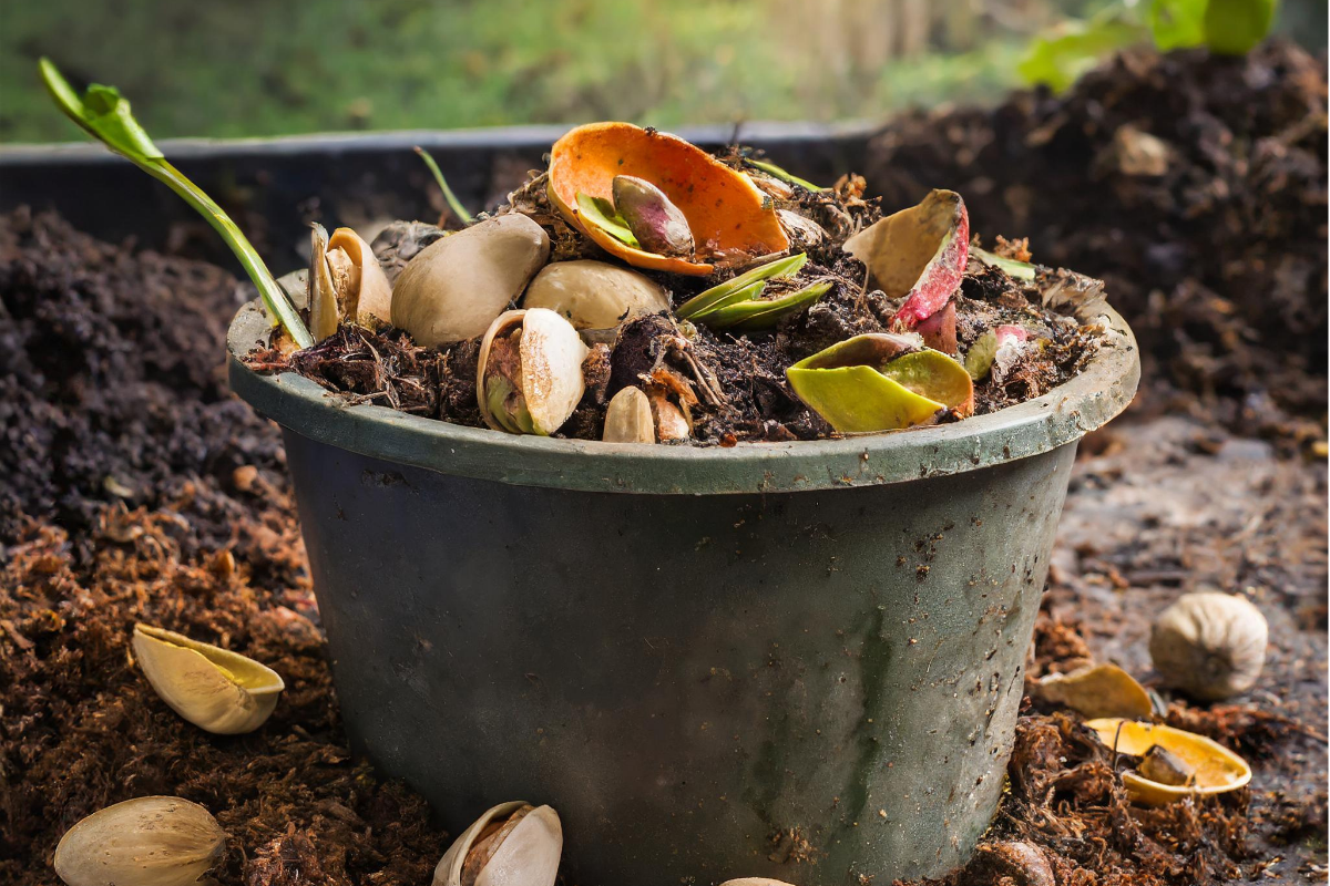 shells in compost