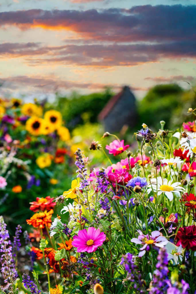 Beautiful English Wildflowers in Your Garden