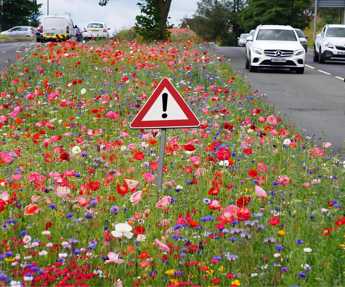 Warning for wildflower medians