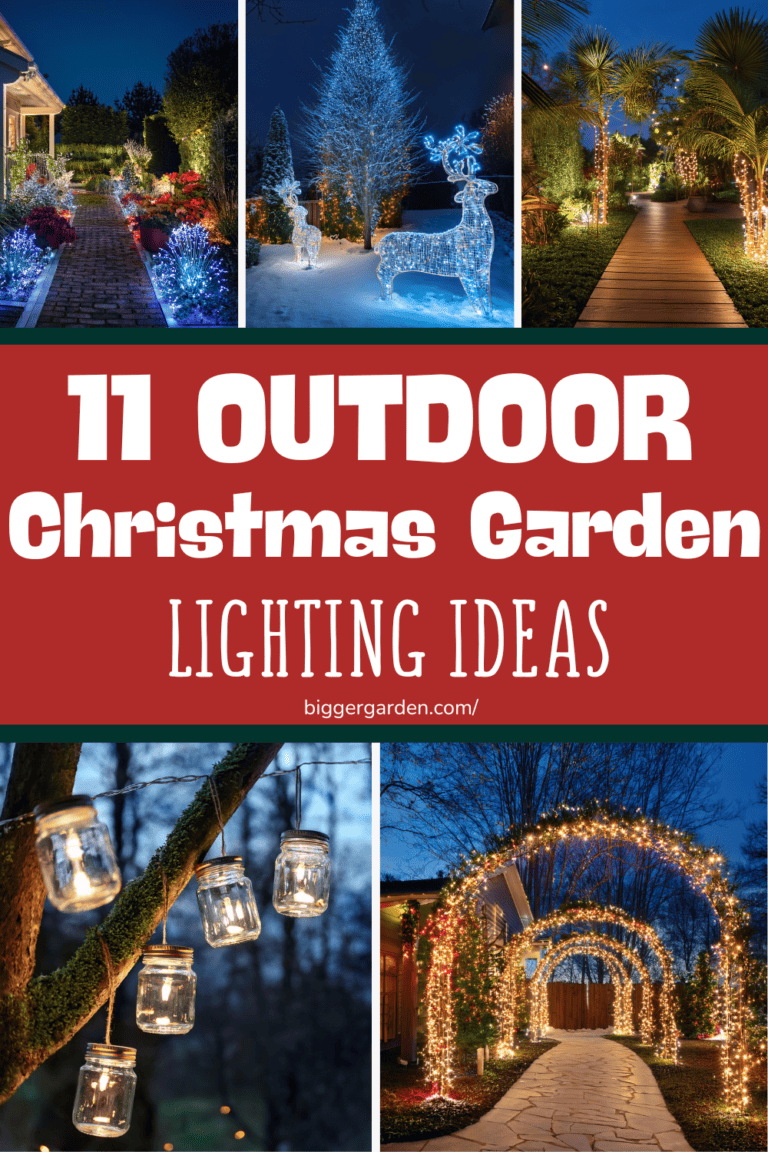 11 Enchanting Outdoor Christmas Garden Lighting Ideas
