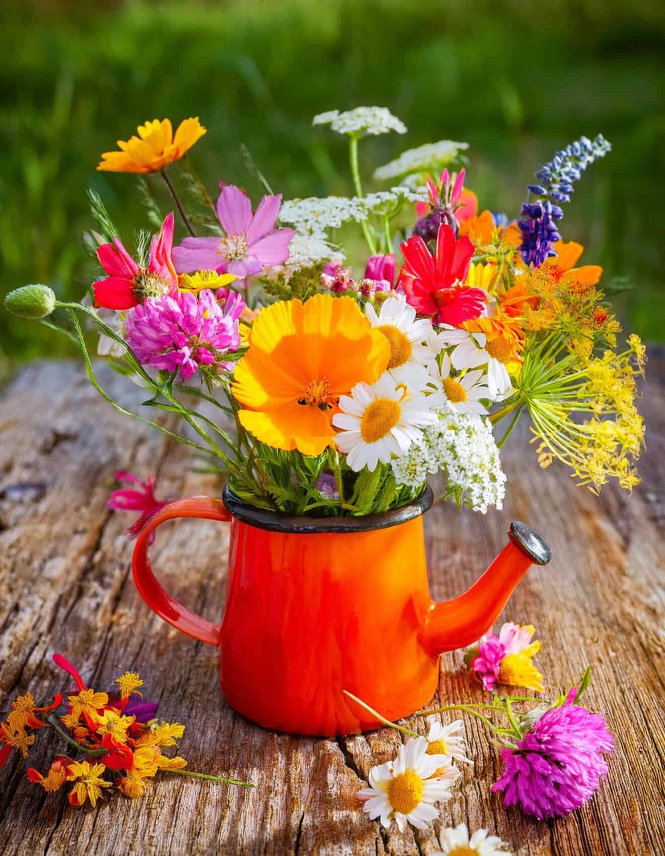 10 Low Maintenance Flowers For A Seasonal Cut Flower Garden Bigger Garden 10 low maintenance flowers for a seasonal cut flower garden bigger garden